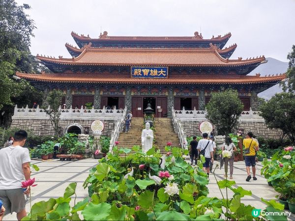 大嶼山昂坪天壇大佛及寶蓮禪寺一遊，雖然心經簡林於6月5日起暫...