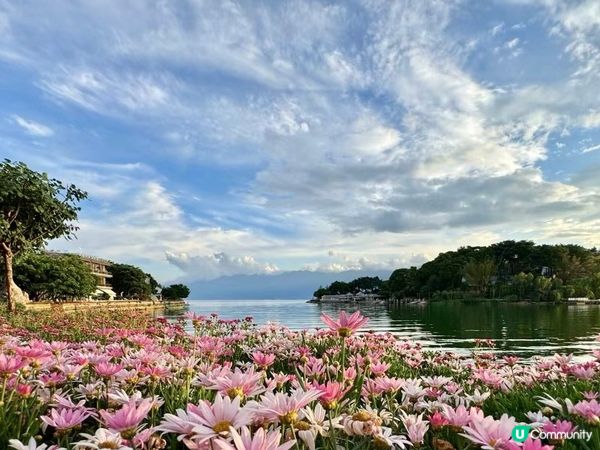 雲南的美麗風光