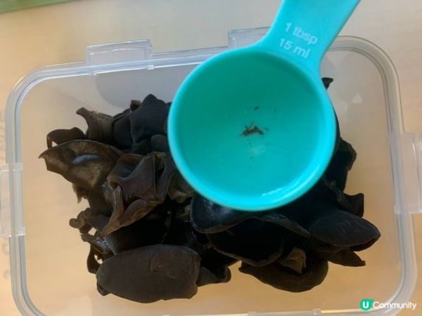 涼拌海帶❤️自己動手製作的美味