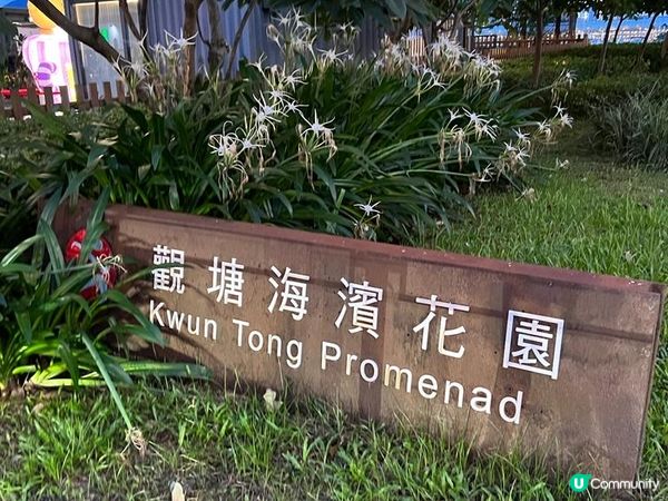 觀塘海濱花園無論野餐或者睇日出🌅日落🌄甚至海景都係最佳選擇嘅...