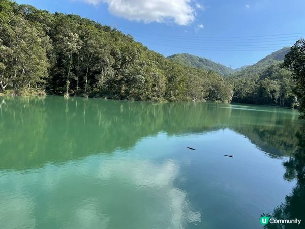 洪水坑水塘打卡位