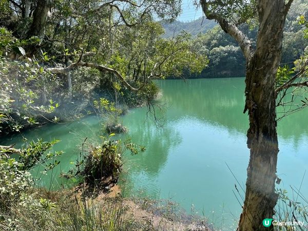 洪水坑水塘打卡位