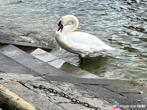 瑞士之旅 夜遊船河