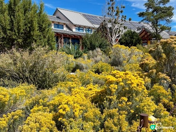 【美國-Arizona】 大峽谷國家公園(南緣) │Grand Canyon National Park