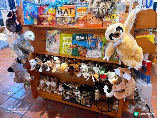 【美國-New Mexico】白色石膏沙漠世界│白沙國家公園│White Sands National Park