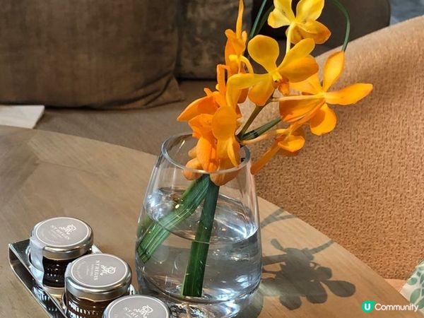 任君選擇下午茶