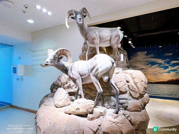 【美國-California】一日觀光自駕遊│死亡谷國家公園│Death Valley National Park