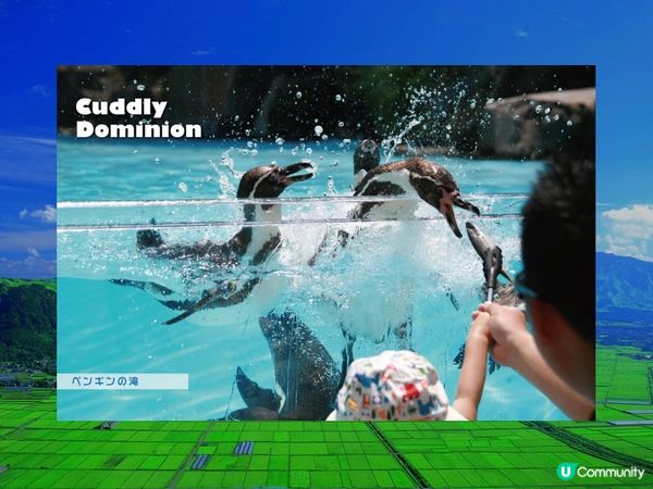 好玩動物園-阿蘇Cuddly Dominion連coupon