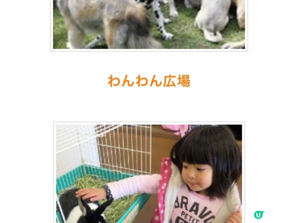 好玩動物園-阿蘇Cuddly Dominion連coupon