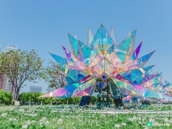 光影交錯，愛意急速升溫‼️日本期間限定展💫