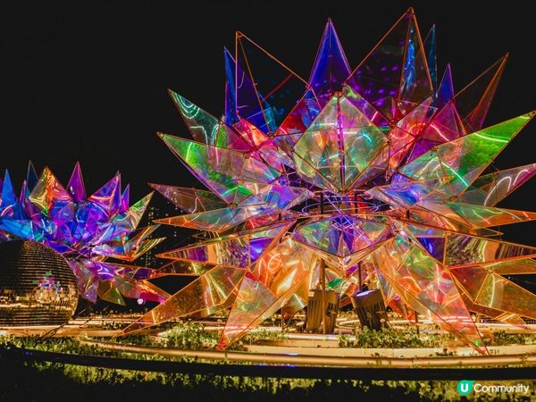 光影交錯，愛意急速升溫‼️日本期間限定展💫