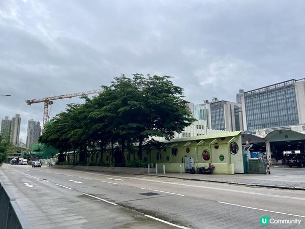 🌳🌳《長沙灣》隨影🌳🌳