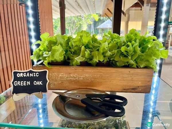 華欣Resort推介 | Sheraton Pranburi Villas