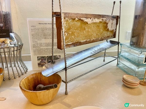 華欣Resort推介 | Sheraton Pranburi Villas