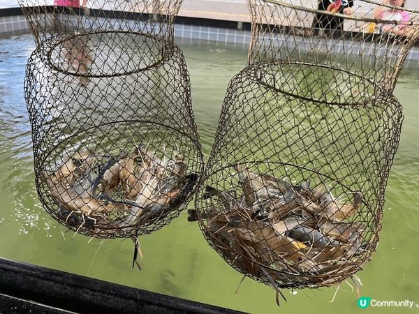 上個月同朋友北上去玩兩日一夜，特登去食?好出名?大鴿飯，睇相...