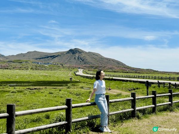 去#熊本 #阿蘇 除左要去 #阿蘇火山 ? 記得要試埋佢?既...