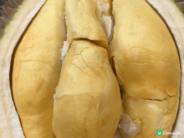 馬來西亞榴槤讓人榴槤忘返，韓國刺生讓人回味無窮