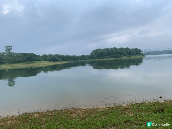 深圳自駕遊，東莞松山湖區，沿途到處有綠化區,空氣清新,環境恬...
