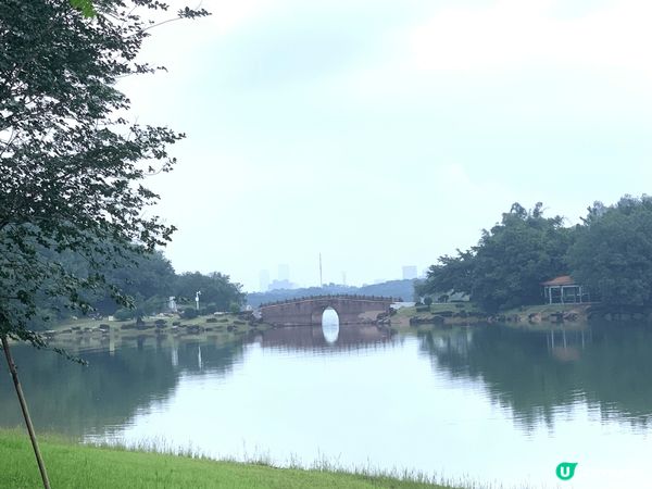 深圳自駕遊，東莞松山湖區，沿途到處有綠化區,空氣清新,環境恬...