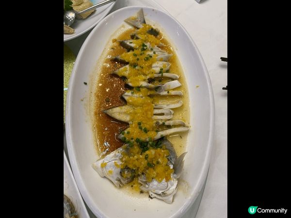 深圳自駕遊，東莞松山湖區，沿途到處有綠化區,空氣清新,環境恬...