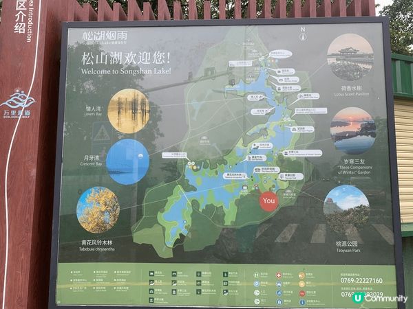 深圳自駕遊，東莞松山湖區，沿途到處有綠化區,空氣清新,環境恬...