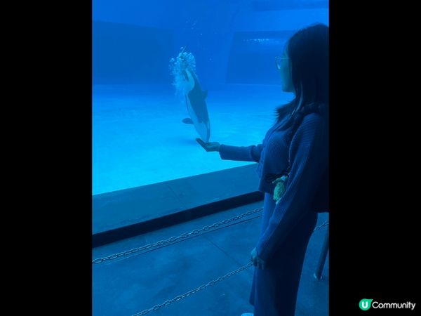 去?珠海長隆度假區兩日一夜?開?咁多年第一次去，比想像中好玩...