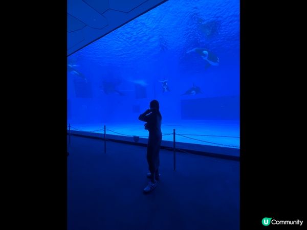 去?珠海長隆度假區兩日一夜?開?咁多年第一次去，比想像中好玩...