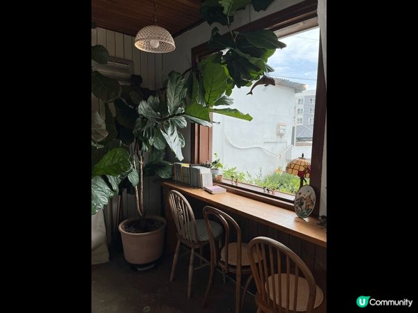 Jeju Fine位於濟州島月汀里海水浴場附近?係IU曾經拍...