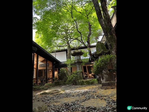 人生第一次食飛驒牛 好食到嘔 建議鍾意食既食少少好啦 唔係成...