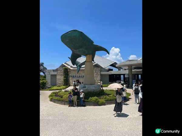 沖縄打卡之旅✈️ 