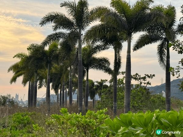 屯赤隧道口浩和街最啱睇夜景同美景