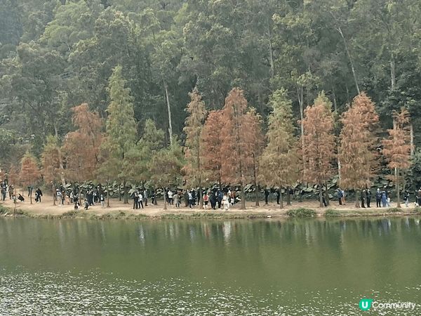 好玩好食好山好水 香港真係好精彩 個個星期都可以周圍去