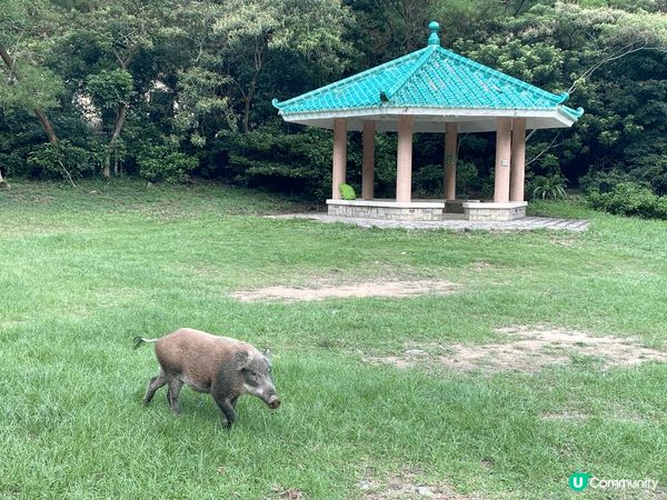 好玩好食好山好水 香港真係好精彩 個個星期都可以周圍去