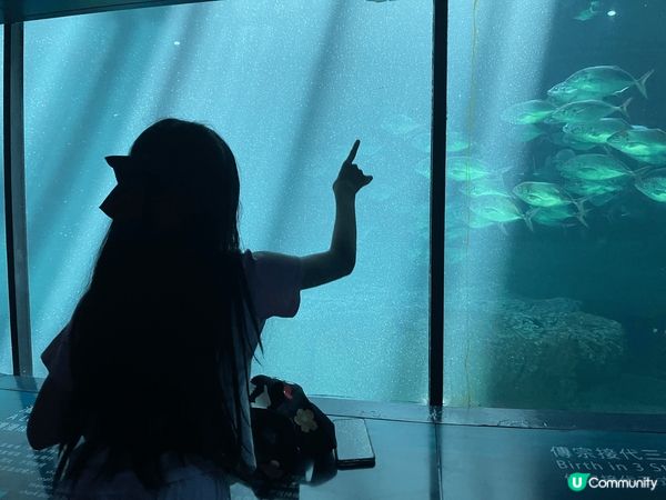 嘩，黎到海洋公園，緊係去海洋公園睇海洋生物啦。大自然生物睇完...