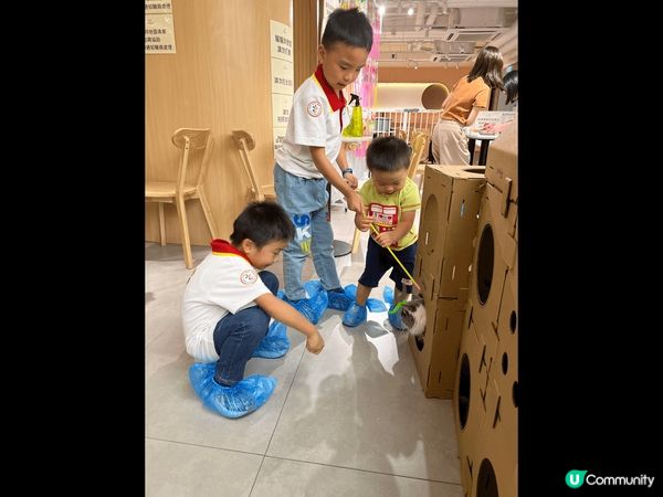 西九站影多拉A夢，戲院睇玩轉腦朋友，貓貓cafe 食同貓貓玩...