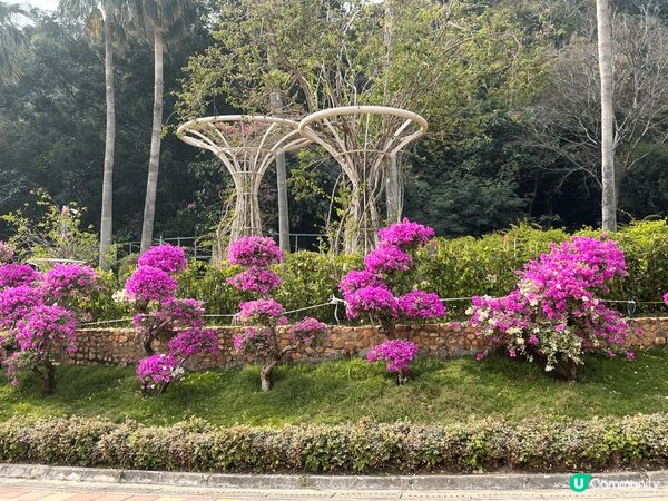 佐敦谷公園好靚又很乾淨，非常適合打卡，也輕鬆地坐在草地上和家...