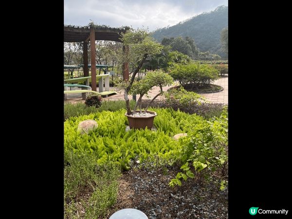 佐敦谷公園好靚又很乾淨，非常適合打卡，也輕鬆地坐在草地上和家...