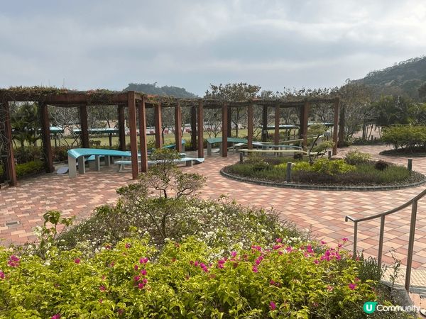 佐敦谷公園好靚又很乾淨，非常適合打卡，也輕鬆地坐在草地上和家...