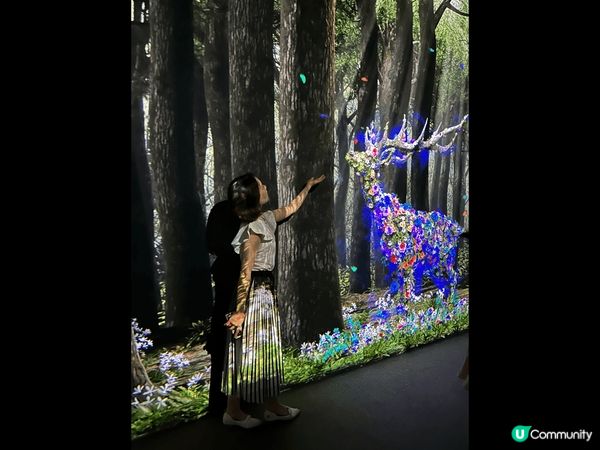 位於港島區的 ARTE M  沉浸式數碼藝術館是打卡一流的地...