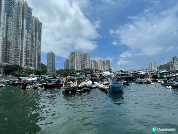 香港深度遊之旅～當然要參加位於香港仔漁人碼頭的浪遊漁港177...