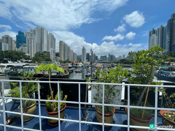 香港深度遊之旅～當然要參加位於香港仔漁人碼頭的浪遊漁港177...