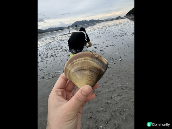 水口村的泥灘上向都有天空之鏡之稱，除左適合打卡，仲適合你家大...