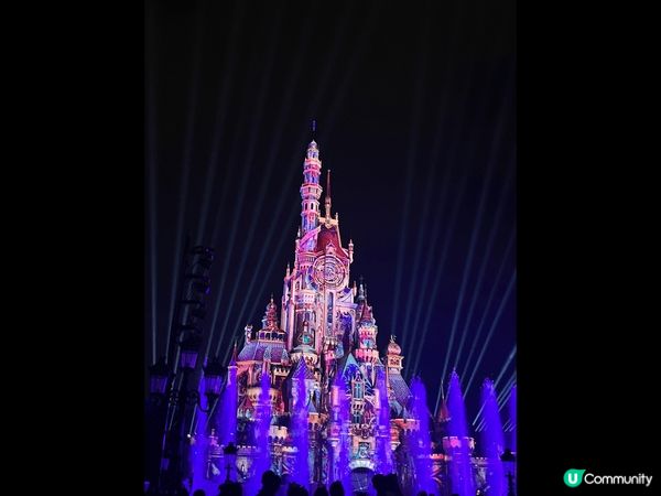 以上的照片都是我在香港迪士尼裏拍攝的，我認為香港迪士尼裏的氣...