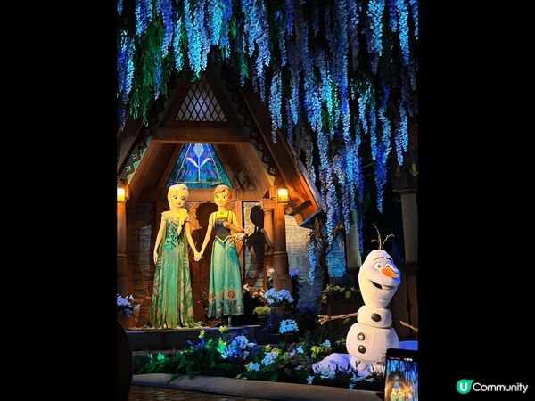 以上的照片都是我在香港迪士尼裏拍攝的，我認為香港迪士尼裏的氣...