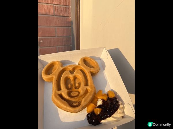 以上的照片都是我在香港迪士尼裏拍攝的，我認為香港迪士尼裏的氣...