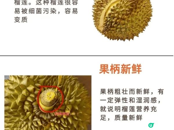 同小朋友飲茶，小朋友未必乖乖坐定，但係呢得意點心可以令小朋友...