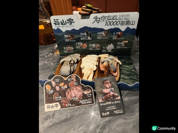 第一次去食雲南菜式，係福田?皇廷廣場呢間雲南火鍋食飯，真係推...