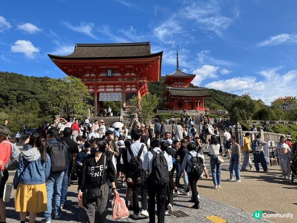 大阪京都自由行, 平日已經人山人海, 但是安心的地方, 值得...