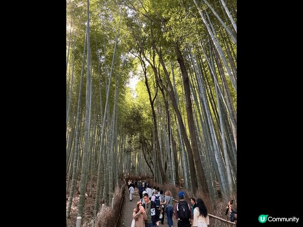 大阪京都自由行, 平日已經人山人海, 但是安心的地方, 值得...