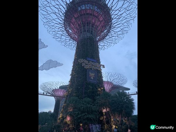 ✨新加坡濱海灣花園Super Tree✨
